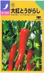 �渶�μ�졡�ȥ����饷����ȤȤ����餷����40γ