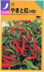 �渶�μ�� �Ȥ����餷 ��ޤȹȡ�M���� ��40γ��͹���б���