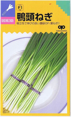 �渶�μ�� ��Ƭ�ͥ� 20ml ��͹���б���