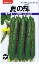 ������ޥ����� ���奦�� �Ƥε� 1.1ml��͹���б���