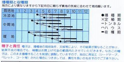 タカヤマシード キュウリ 夏の輝 1.1ml【郵送対応】 | 【メーカー名