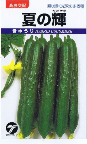 タカヤマシード キュウリ 夏の輝 1.1ml【郵送対応】 | 【メーカー名