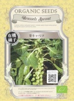 ��ͭ����ҡֲۡꥭ��٥ġפΥ��͡���100γ