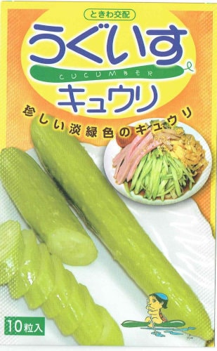 �Ȥ��︦��졡�����������奦�ꡡ��10γ��͹���б���