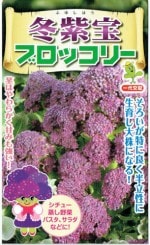 ���Ӽ��ġ���֥��å��꡼���߻����Υ��͡�[�����̡���45γ]