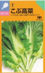 渶μ졡ֹڡʥʡˡ10ml ͹б