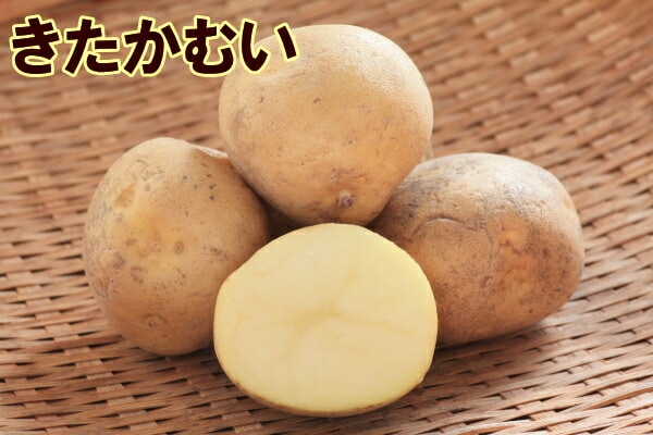 �ڼ兩�㥬���⡦�襤��֤ۡ������त�פμ露�㤬���⡡�󣵣��������ڽե��㥬�����ѡ��������ܡ������ȯ���ۡ��ʼ�̾���������त_��Ͽ�ֹ桧��19543��_�������жػߡ�