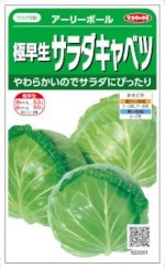 �������Υ��Ͷ��������������٥ġ֥����꡼�ܡ���� 1ml����͹���б���