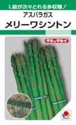 ���������� �����ѥ饬�� ��꡼�亮��ȥ� 9ml��͹���б���