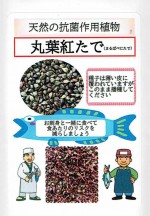 ʡ�楷���ɡ����չȤ��ǡʥ��ǡ�����[�����̡���1�ǥ���åȥ�]