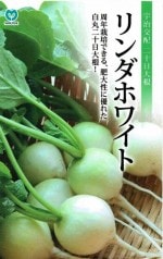 �ݼ��������  20���纬�������ۥ磻��  230γ����͹���б���