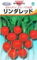 �ݼ��������  20���纬��������å�  230γ����͹���б���