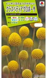 ���������ġ����饹�ڥǥ����������ܡ�������͹���б���