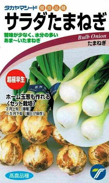 タカヤマシード タマネギ 「サラダたまねぎ」のタネ [内容量：3.5ml