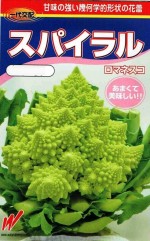 ��������������ե������ѥ���롡���ޥͥ�����25γ����͹���б���