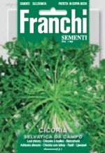 ��FRANCHI�ҡۡ�40/12�ۥ꡼�ե����꡼��SELVATICA DA CAMPO��12g��