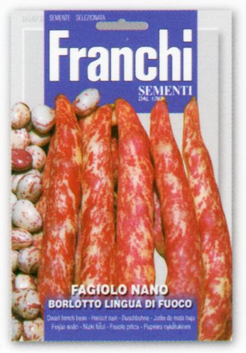 ��FRANCHI�ҡۡ�56/6�ۥĥ�ʤ����󤲤�BORLOTTO LINGUA FUOCO