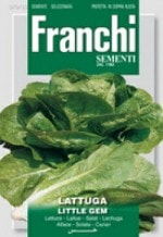 ��FRANCHI�ҡۡ�79/35�ۥ��ᥤ��쥿����LITTLE GEM