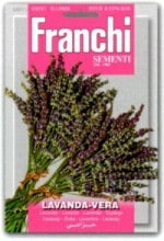 ��FRANCHI�ҡۡ�87/1�ۥ�٥����