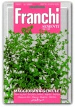 ��FRANCHI�ҡۡ�88/1�ۥ������ȥޥ�����