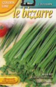 ��FRANCHI�ҡۡ�GL2/4�ۥ�����å����㥤��