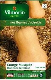 ��Vilmorin�ҡۥѥ�ץ���Waltham Butternut��͹���б���