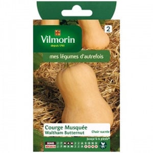 VilmorinҡۥѥץWaltham Butternut͹б