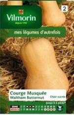 ��Vilmorin�ҡۥѥ�ץ���Waltham Butternut��͹���б���