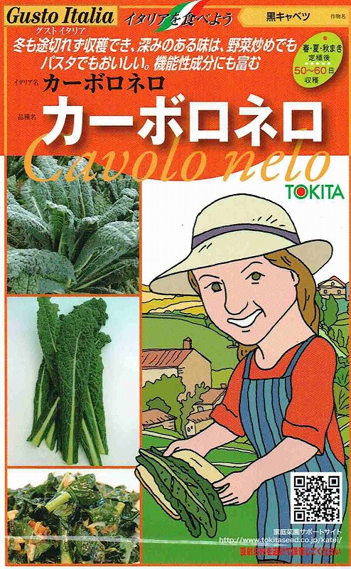 �ȥ������ġ������ȥ����ꥢ�������ܥ��ͥ��ʹ�����٥ġ�[�����̡���40γ]