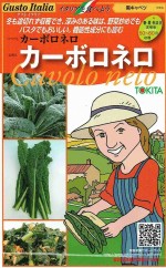 �ȥ������ġ������ȥ����ꥢ�������ܥ��ͥ��ʹ�����٥ġ�[�����̡���40γ]