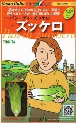 �ȥ������ġ������ȥ����ꥢ�����å������ʥ�ǥ��å�����[�����̡���50γ]