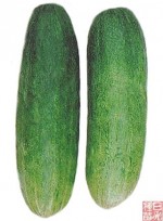 ��������ġ�ȬĮ���夦����ġ�9cm�ݥåȡڣ�����ܡ�5����ȯ��ʬͽ���