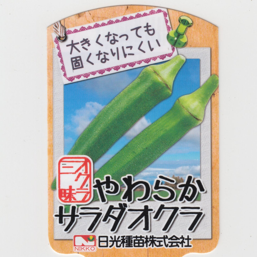 オクラ三昧「やわらかサラダオクラの苗」9cmポット【5月上旬発送分予約