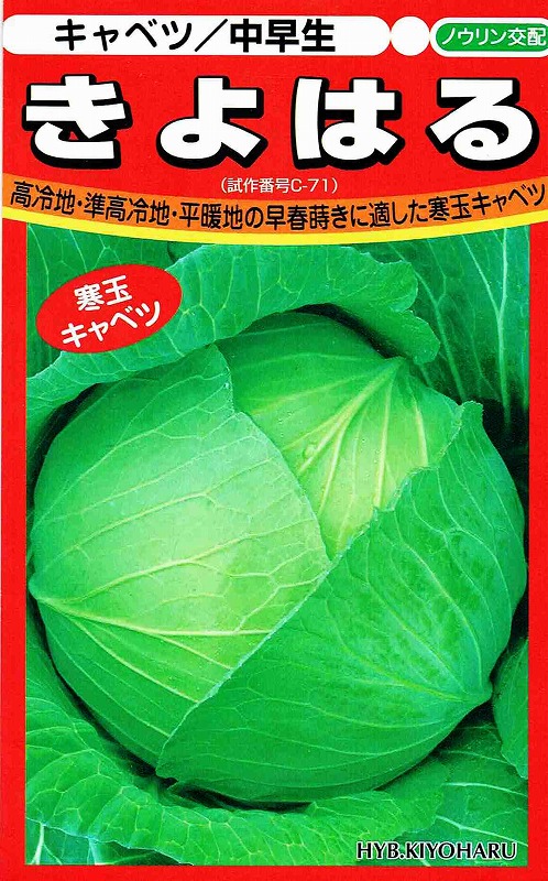 �������Ӽ� �Υ�������  ����٥�  ����Ϥ�  ��100γ����͹���б���