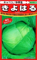 �������Ӽ� �Υ�������  ����٥�  ����Ϥ�  ��100γ����͹���б���