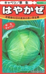 Υ  ٥  Ϥ䤫  100γ͹б
