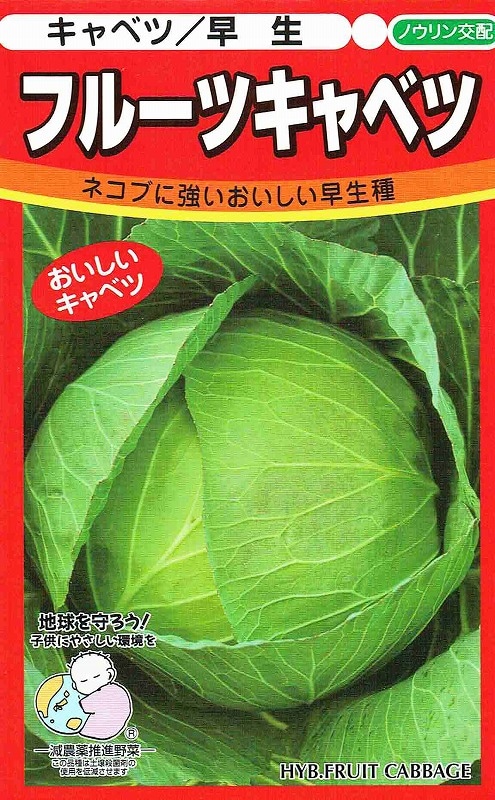 Υ  ե롼ĥ٥  100γ͹б