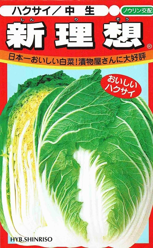 Υ  ڡۡڥåȼ  100γ͹б