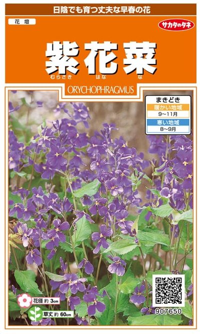 サカタのタネ 紫花菜 1ml【郵送対応】 | 【メーカー名からタネを探す