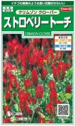 Υ͡ȥ٥꡼ȡ  2ml͹б