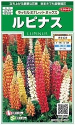 Υ͡ԥʥåߥʥåȥߥå  1ml͹б