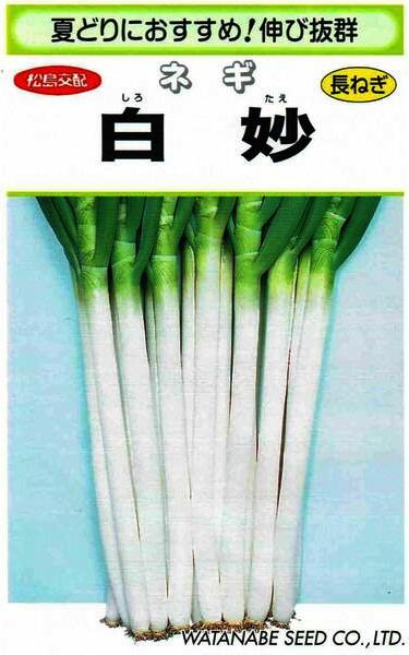 ���պμ�졡�ͥ�����̯��3ml ��͹���б���