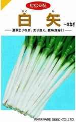 ���պμ�졡�ͥ�������2ml��͹���б���