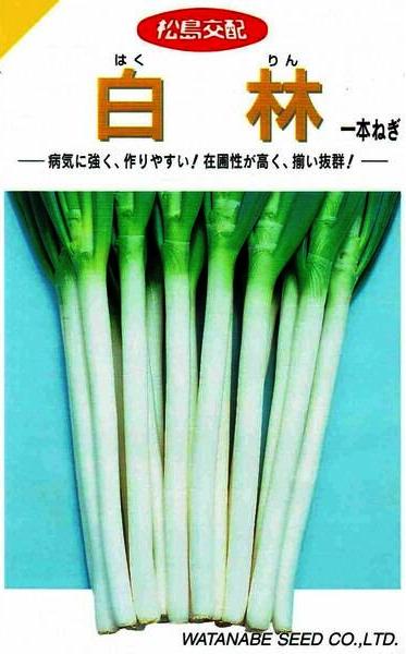 ���պμ�졡�ͥ������ӡ�2ml��͹���б���