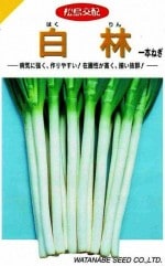 ���պμ�졡�ͥ������ӡ�2ml��͹���б���