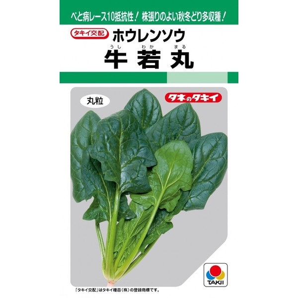 タキイ種苗　ほうれん草　牛若丸　27ml【郵送対応】