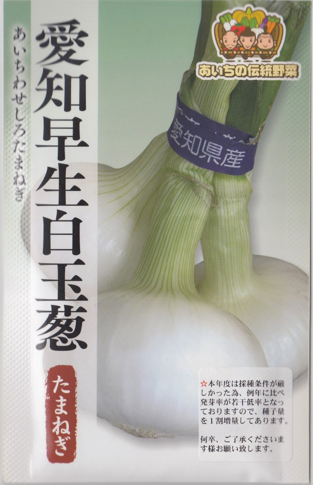 松永種苗 愛知早生白玉葱 3ml【郵送対応】 | 【メーカー名からタネを
