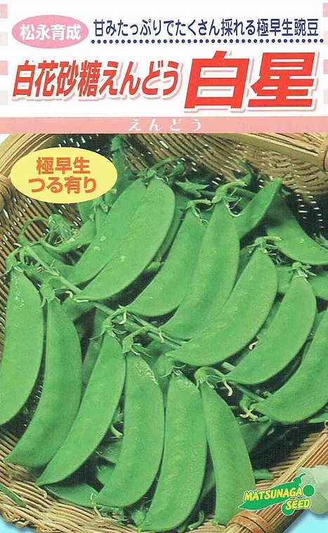 く日はお得♪ 30ml スナップエンドウ タネ 野菜たね エンドウ 1袋 早生スナップ く日はお得♪ 30ml スナップエンドウ タネ 野菜たね エンドウ 1袋 早生スナップ
