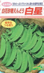 ���ʼ��� ����ɥ� ��ֺ�������ɤ���������20ml��͹���б���