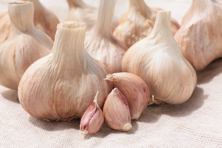 �񻺤ˤ�ˤ��ֻ硹�ݡʤ����ޤ�˥˥�˥����󣵣���������